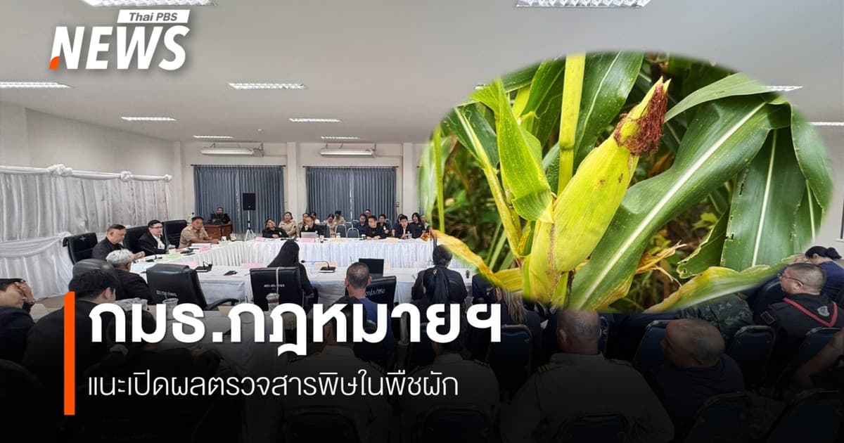 กมธ.กฎหมายฯ แนะเปิดผลตรวจสารพิษในพืชผัก ชาวบ้านท่าตอน จ.เชียงใหม่ กินผักปนเปื้อนเกือบ 2 ปี