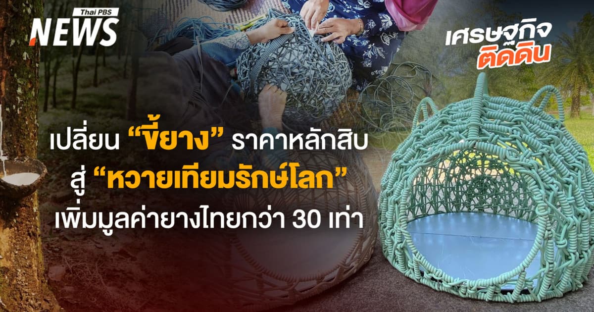 เปลี่ยน “ขี้ยาง” ราคาหลักสิบ สู่ “หวายเทียมรักษ์โลก” เพิ่มมูลค่ายางไทยกว่า 30 เท่า