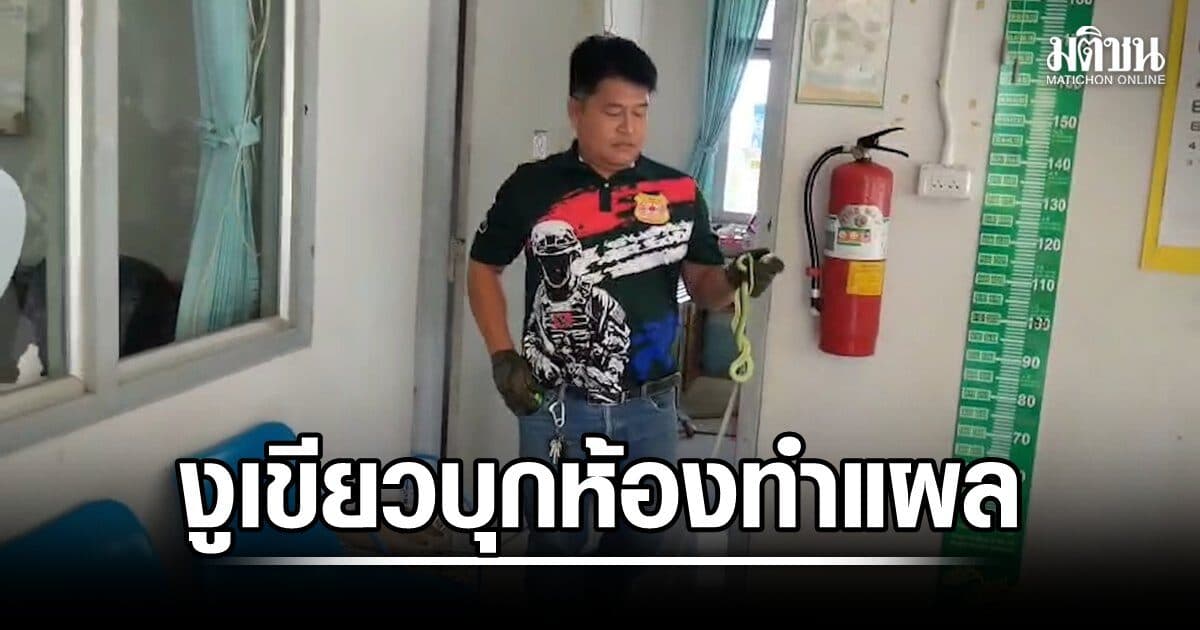 แตกตื่นงูเขียวบุกห้องทำแผล พร้อมกัน 4 ตัว แจ้งกู้ชีพช่วยจับ เตือนฝนสลับร้อนระวังสัตว์เลื้อยคลานเข้าบ้าน