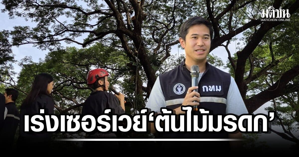 กทม.เร่งเซอร์เวย์ ‘ต้นไม้มรดก’ ทั่วกรุงฯ ปั้น ‘รุกขกร’ คุมเข้มตัดแต่ง เตรียมผุด ‘สวนป่า 6 แห่ง’